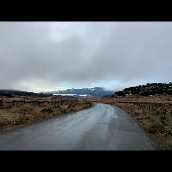 Meet your Posher, Katie - Picture 5 of 7